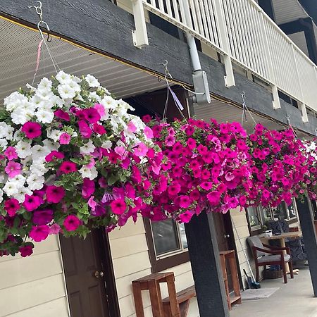 Twin Creeks Motel Lumby Zewnętrze zdjęcie