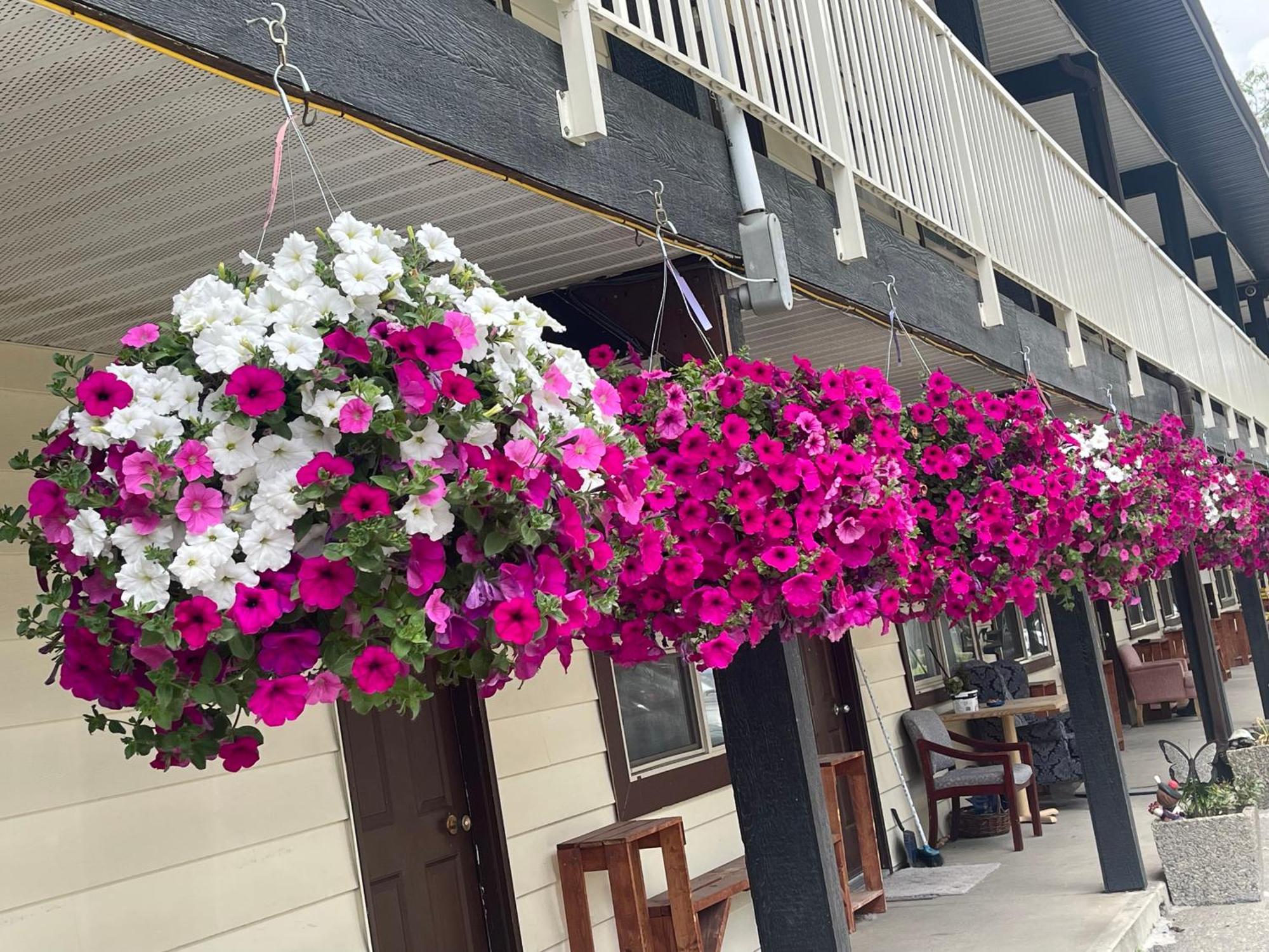 Twin Creeks Motel Lumby Zewnętrze zdjęcie